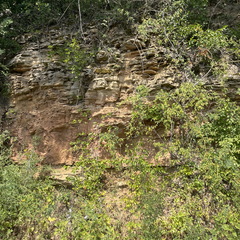 22-07-30 13-42-27 1756